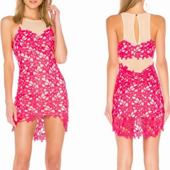 Lovers + Friends Larissa Lace Mesh Mini Dress size XXS PINK - Picture 1 of 14